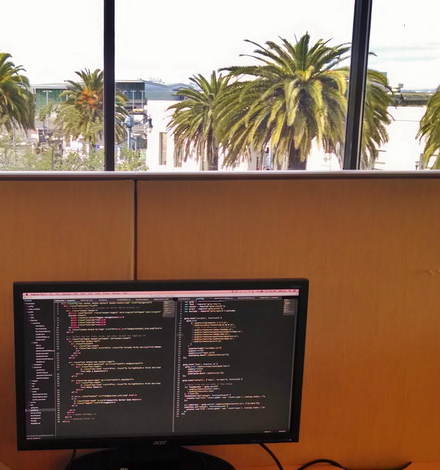 JavaScript and Palm Trees