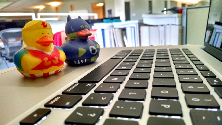 two rubber ducks pair programming